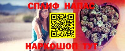 винт Сланцы